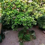 Romantica Mansarda Apartamento