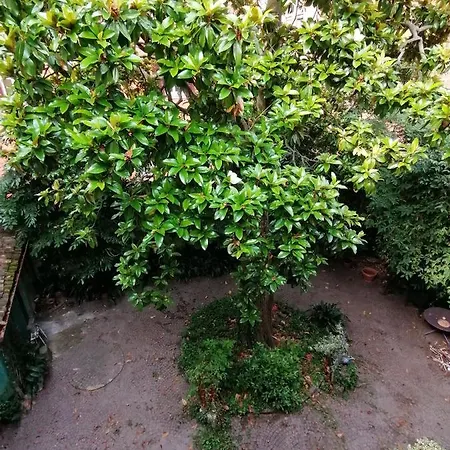 Romantica Mansarda アパート