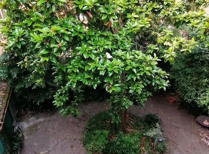 Romantica Mansarda アパート